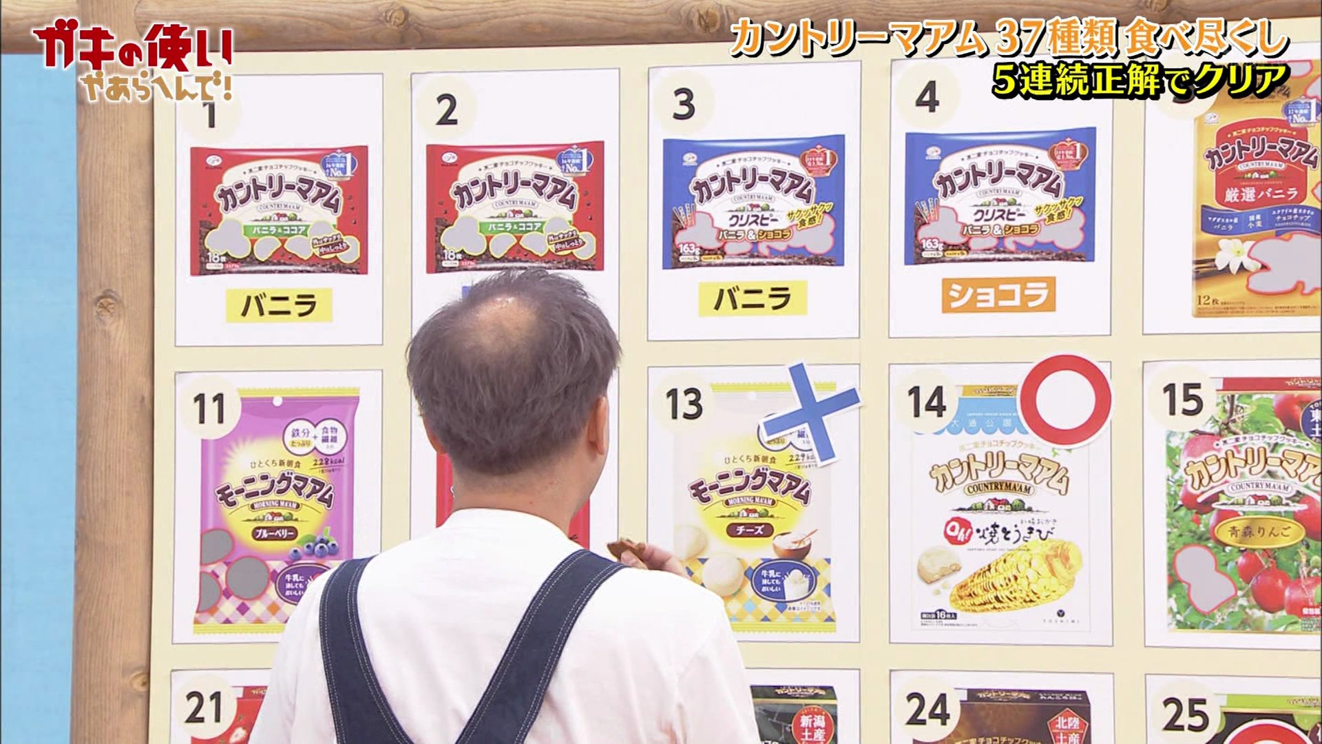 まとめ売り　ガキの使い1〜11  すべらない話1〜4 まとめ売り ガキの使い1〜11 すべらない話1〜4 ガキ使 -