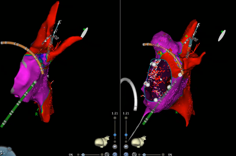 A_Jaouadi tweet media