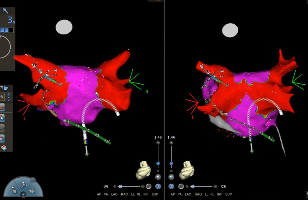 A_Jaouadi tweet media