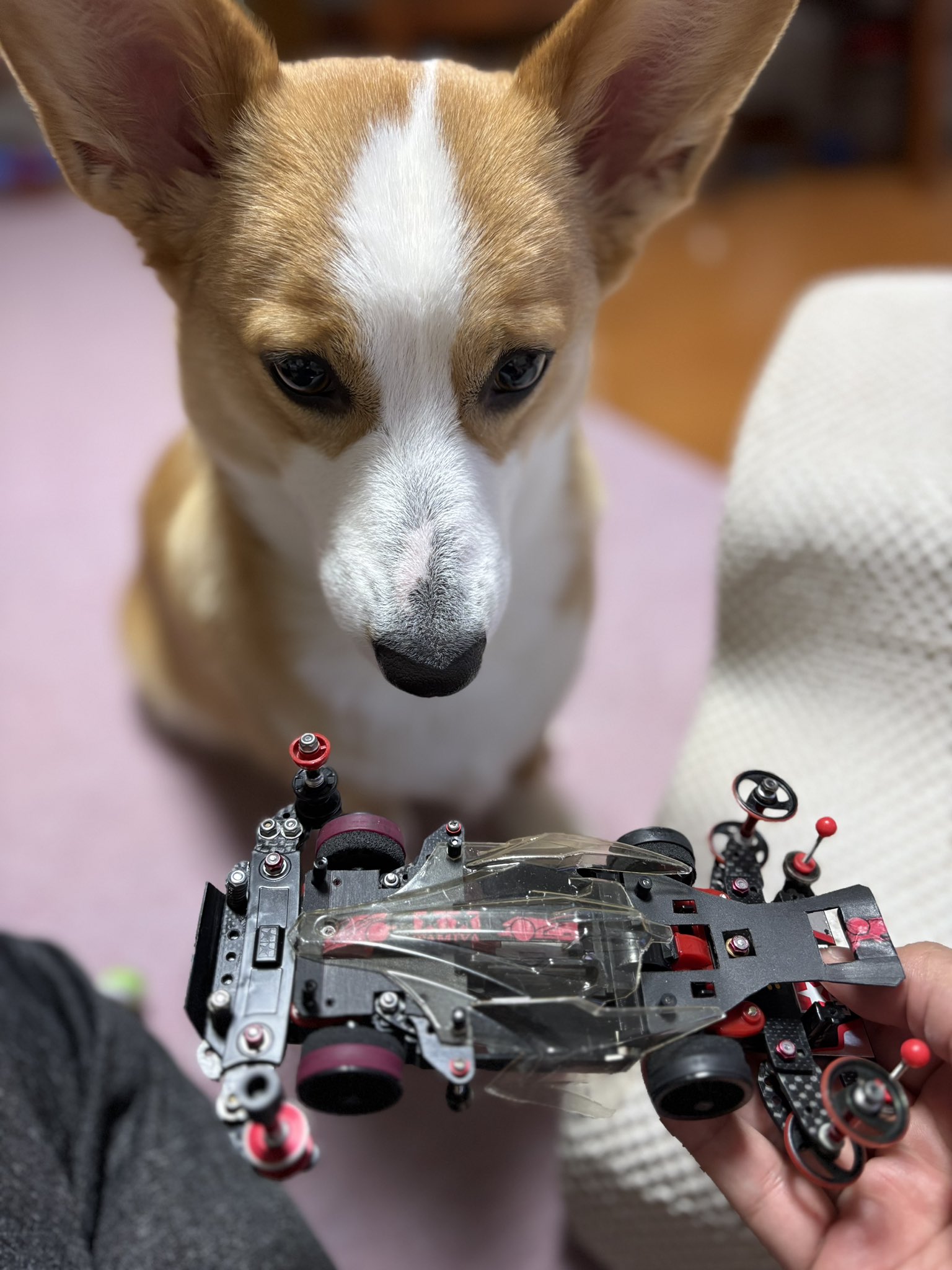 CORGI コーギー 100周年 フライトコレクション ライト兄弟 Amazon.co