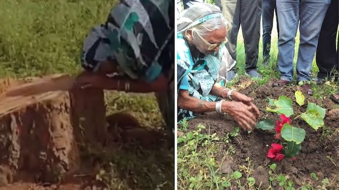 An elderly woman, Devla Bai, from Sara Gondi village in Chhattisgarh, broke down in tears when she found that a peepal tree she had planted and cared for like her own child for over 2 decades had been cut down.

Two men - Imran Memon and Prakash Kosre arrested for the act.