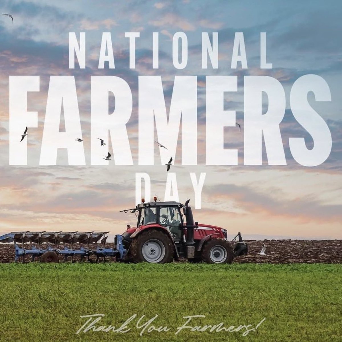 LevelsPicks's tweet image. On National Farmer’s Day, we honor the hardworking farmers who care for our land, feed our communities, and carry on this proud legacy. 

Farmers are the backbone of our nation, fueling our success and putting food on our tables. #NationalFarmersDay