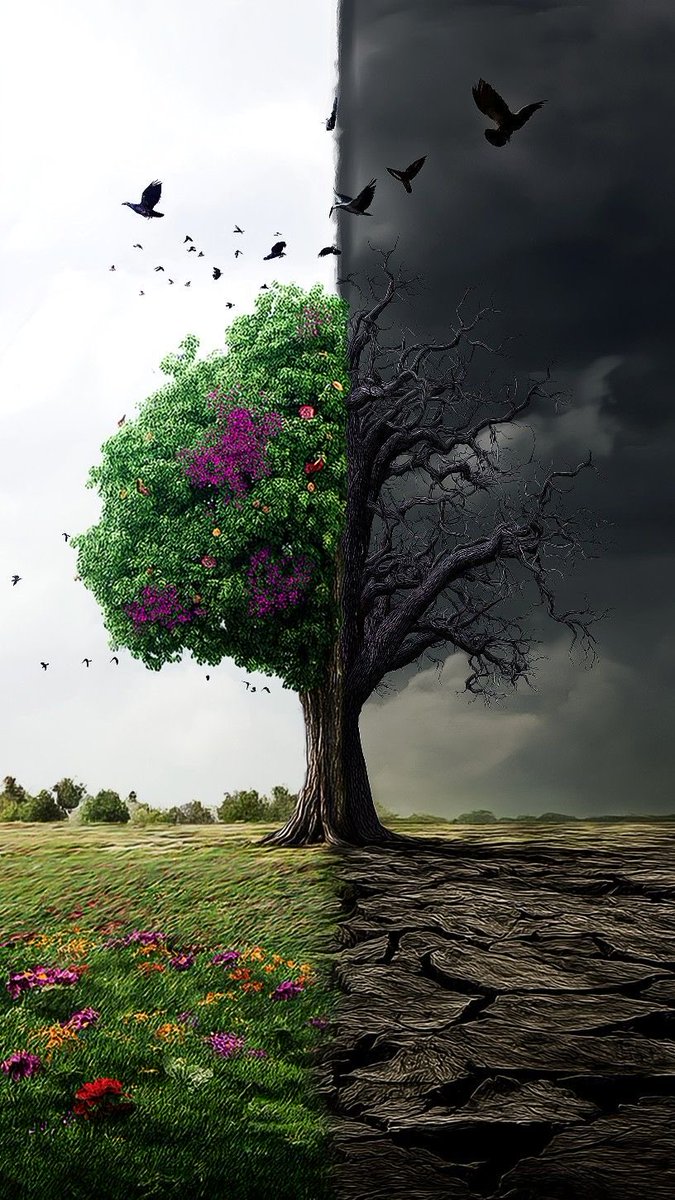 El ser humano es como un árbol en invierno: se despoja de lo superfluo para guardar en su raíz la promesa de un renacer invisible.

              AlexRoch / Foto: Pinterest
