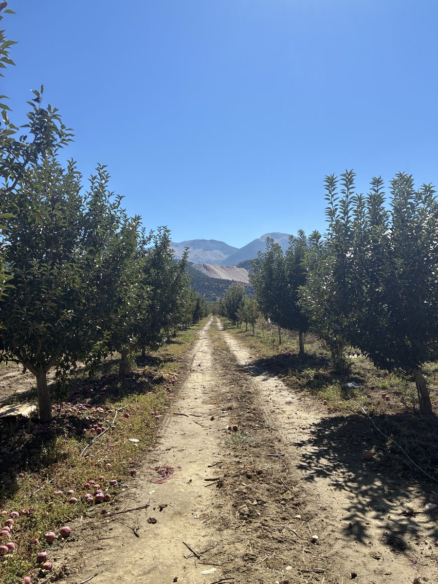pixierunnerx's tweet photo. #runningviews https://t.co/BosA8uo4Ga