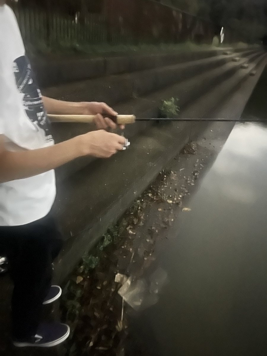 🎣