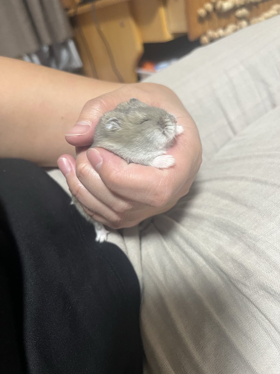 イ、イコちゃん
ムチムチすぎるって
