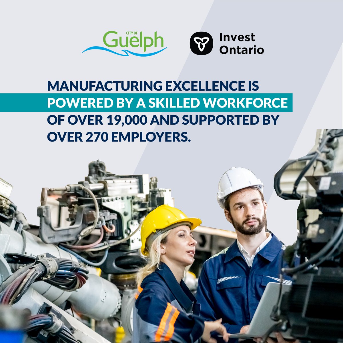 investontario's tweet image. Distinct, resilient &amp;amp; bold, Guelph is a centre for innovation, creation &amp;amp; community.

🌽 Guelph is Canada’s agri-food innovation capital

👩‍🏭 #Mfg workforce of over 19,000  &amp;amp; over 270 employers

🥈 4th highest labour force part. rate in Canada &amp;amp; 2nd in Ontario.

Ontario is Guelph.