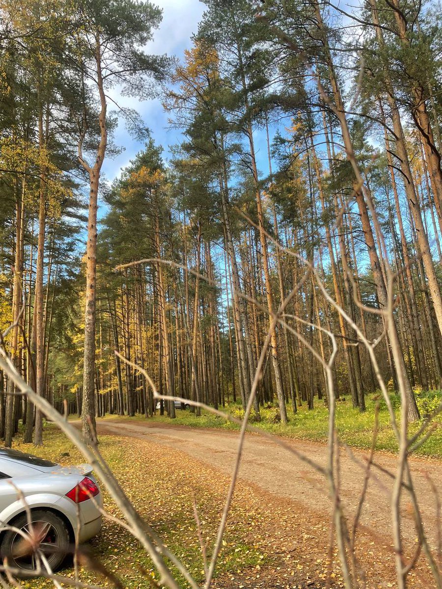 Just_Pavel_'s tweet image. Our autumn. #Russia #Yaroslavl