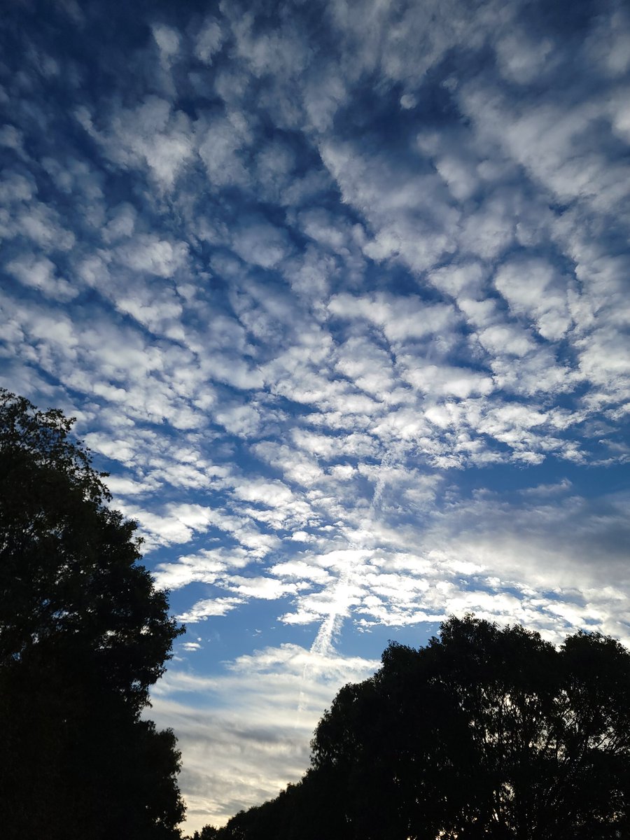 m2mpics's tweet image. Sharing a picture from an early morning walk.   #Alpharetta #atlanta #sunrise #clouds