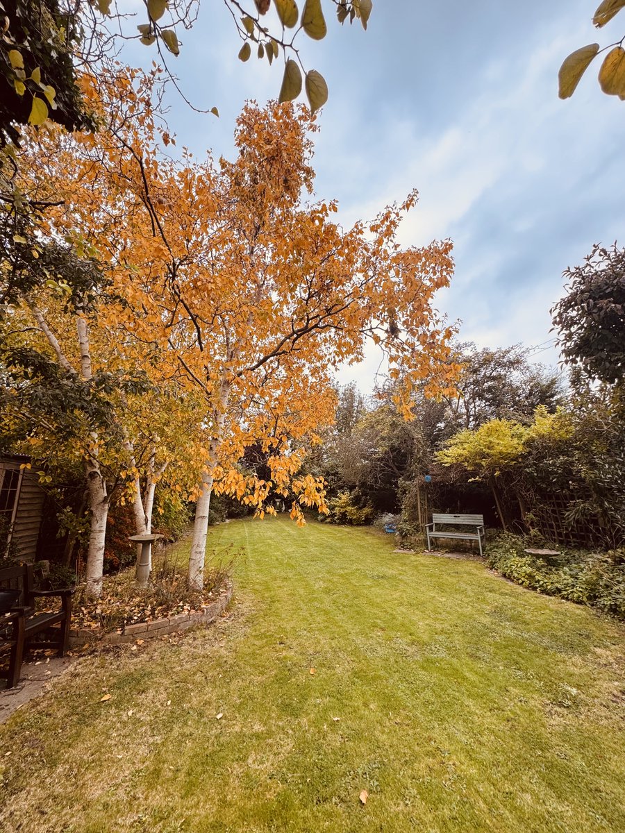 Autumn tidying. 🍁🍂