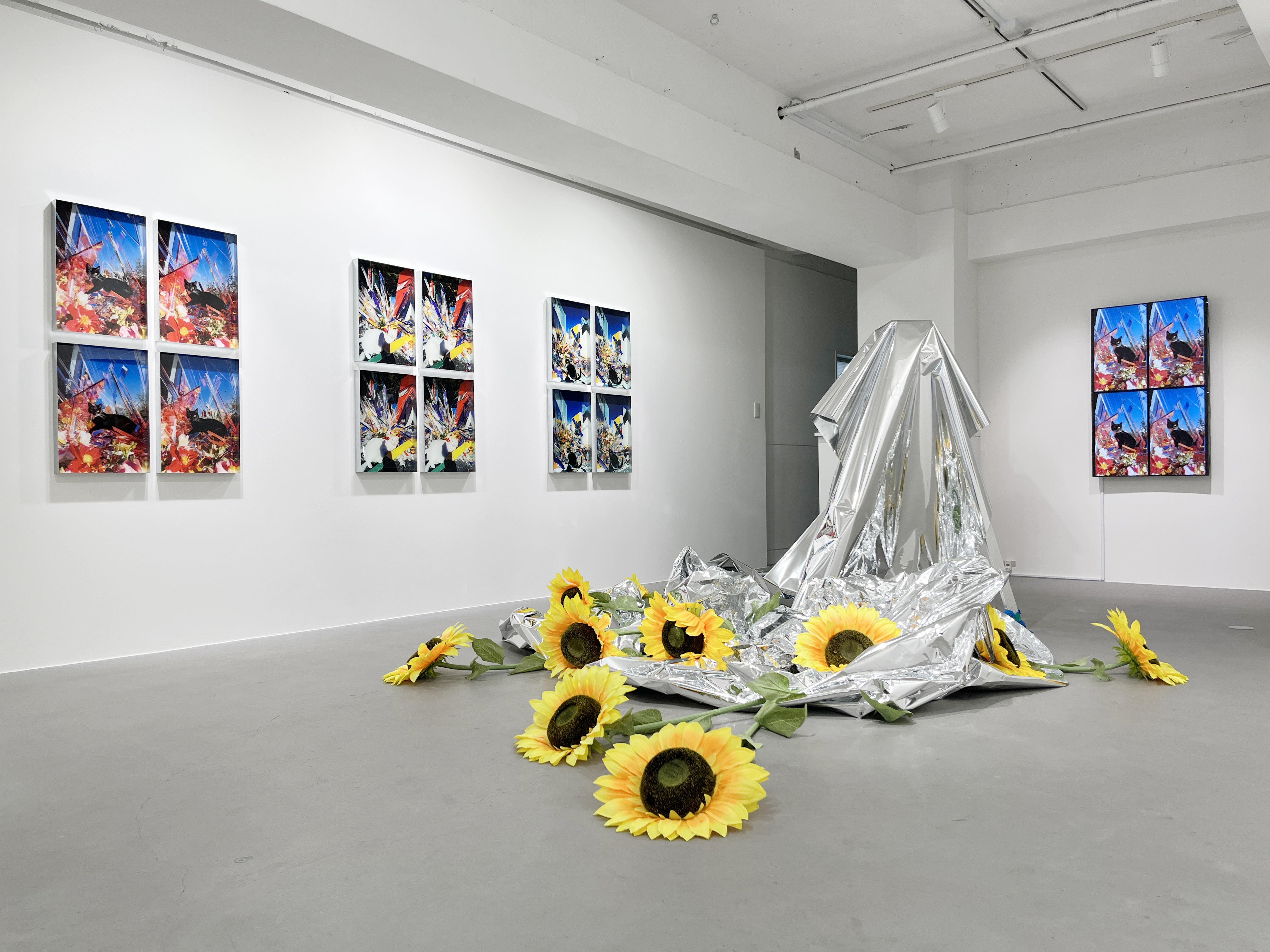 小林大吾 / 小数点花手鏡【特装版】限定500部　パン屋の1ダース付き はむぞう on X: 