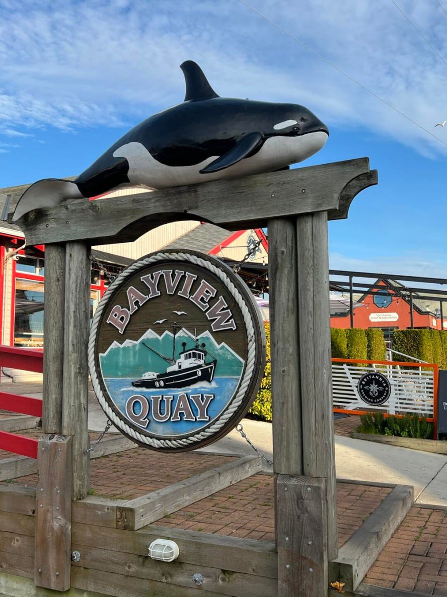 BackOnTrackDUI's tweet image. 