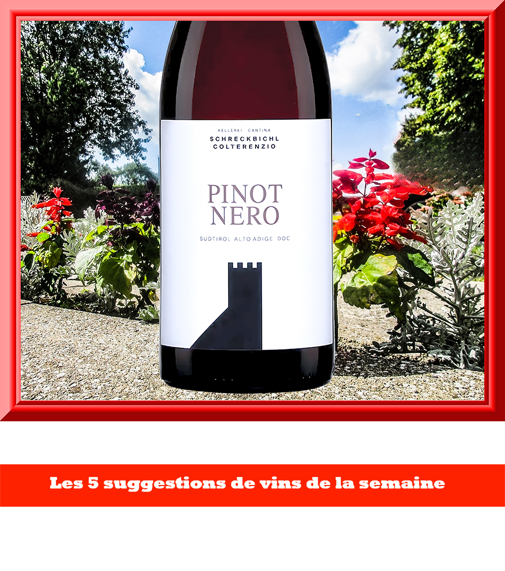 .
Ce Pinot noir montagnard du nord-est de l'Italie fait partie des 5 #vins que je vous invite à essayer cette semaine (28,90$ dans 60 succursales). 𝐕𝐨𝐲𝐞𝐳-𝐥𝐞𝐬 𝐭𝐨𝐮𝐬 𝐢𝐜𝐢  👉 👉 bit.ly/5-VINS-10-10-25 #wine #vin 
.