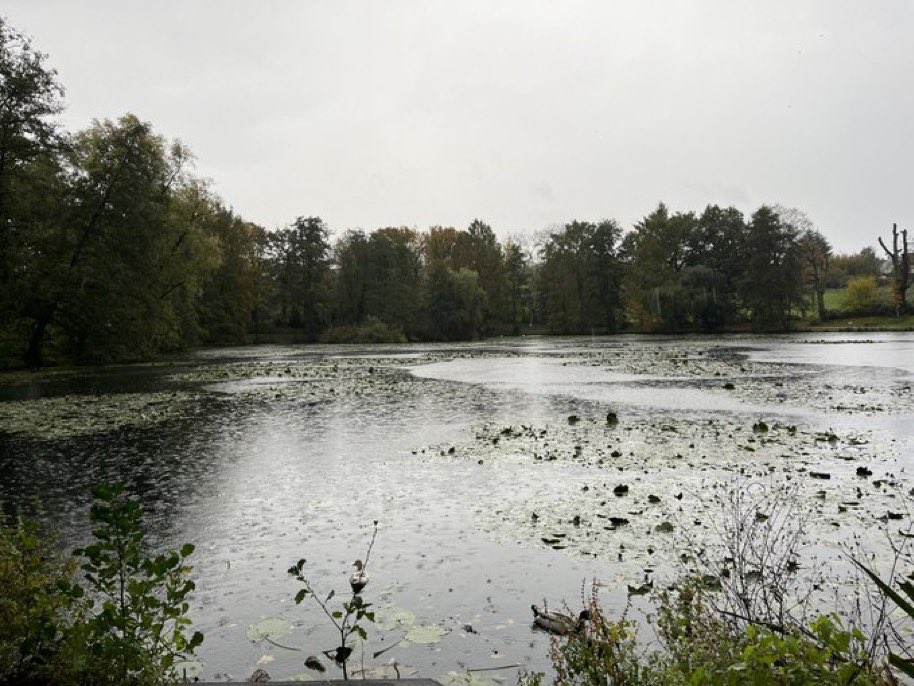 Nun gönnt sich das Jahr eine Pause.
Der goldne September entwich.
Geblieben im herbstlichen Hause
Sind nur meine Schwermut und ich.

Verlassen stehn Wiese und Weiher,
Es schimmert kein Segel am See.
Am Himmel nur Wildgans und Geier
Verkünden den kommenden Schnee.

Mascha Kaléko