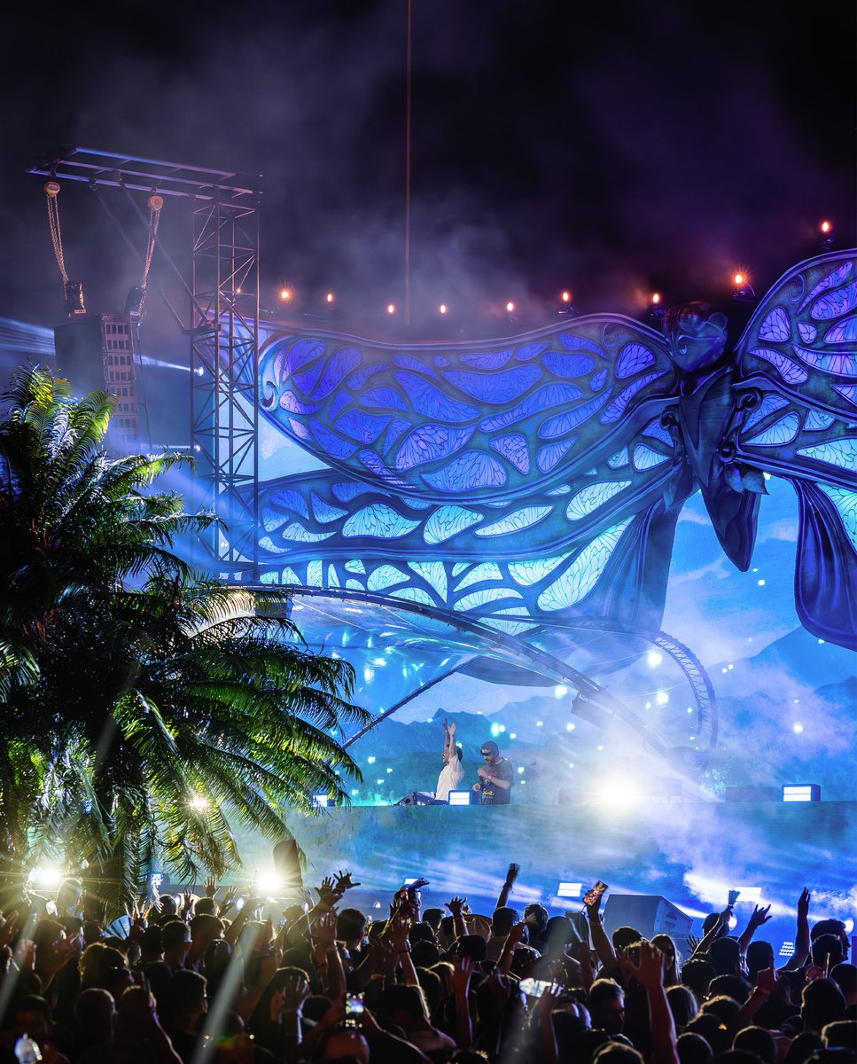 sucked　　　　　　　　　　　　　　　　　TOMORROWLAND Tomorrowland Lovers 2026 added - Tomorrowland Lovers 2026