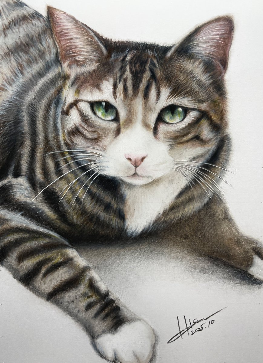 ひーさん｜色鉛筆画✏️ (@hi3_xxx) / Posts / X