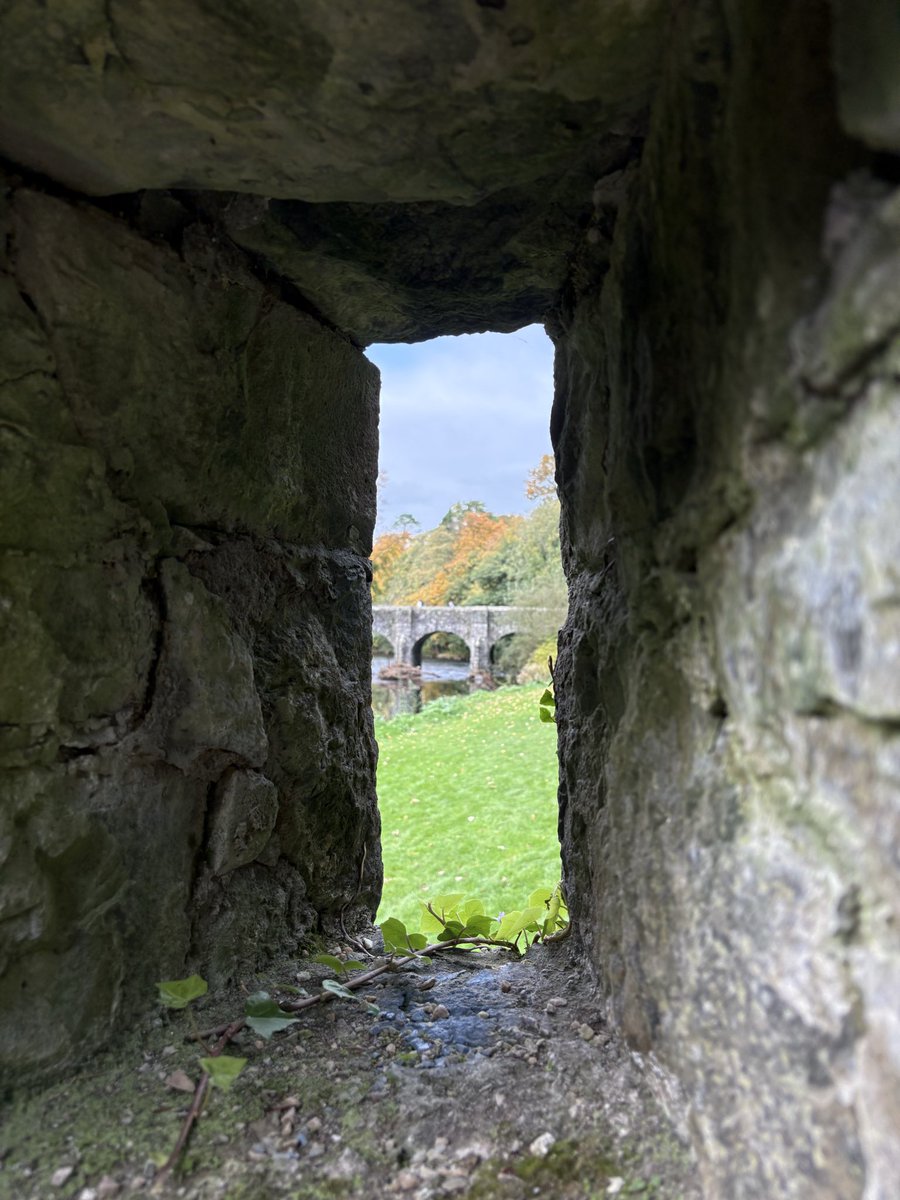Continuing the wholesome Sundays with a trip to Antrim Castle Gardens❤️