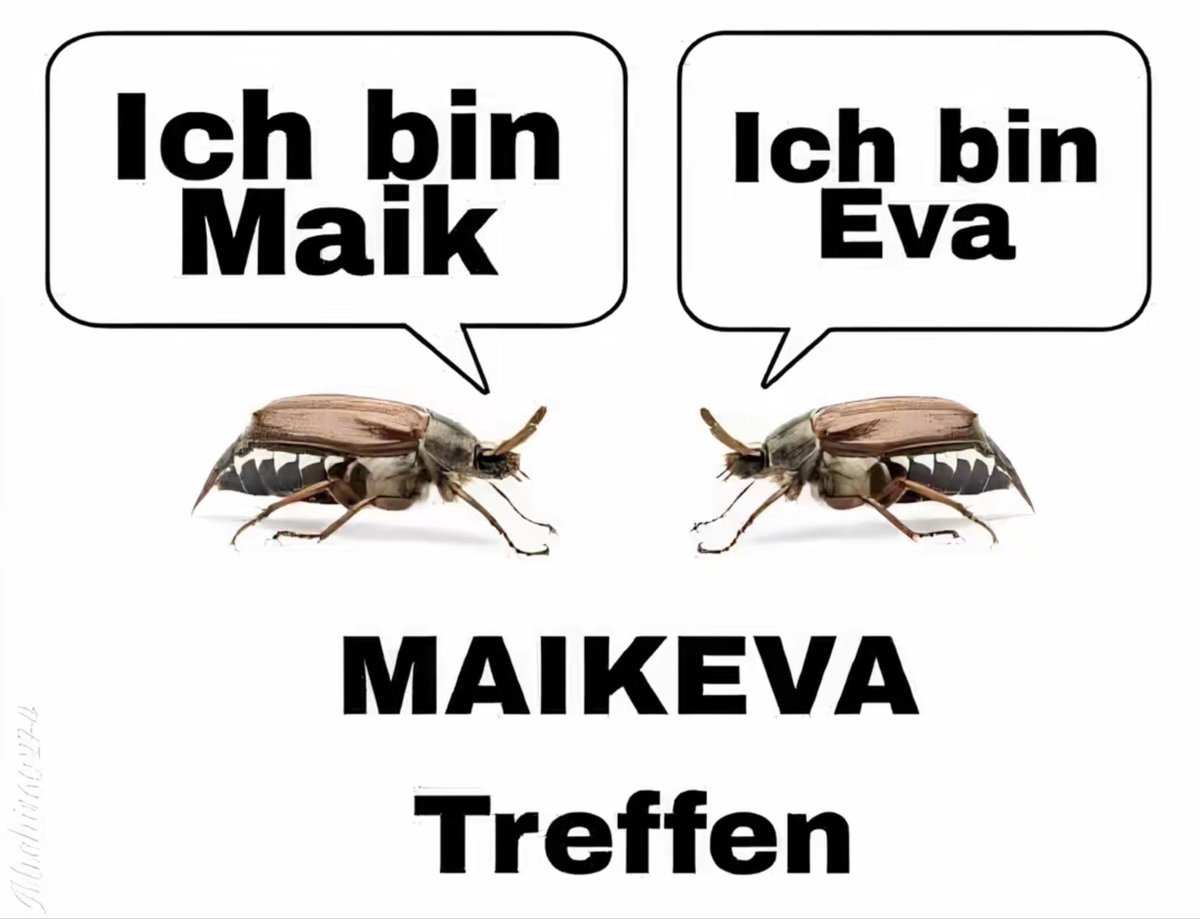 Ich bin Maik.