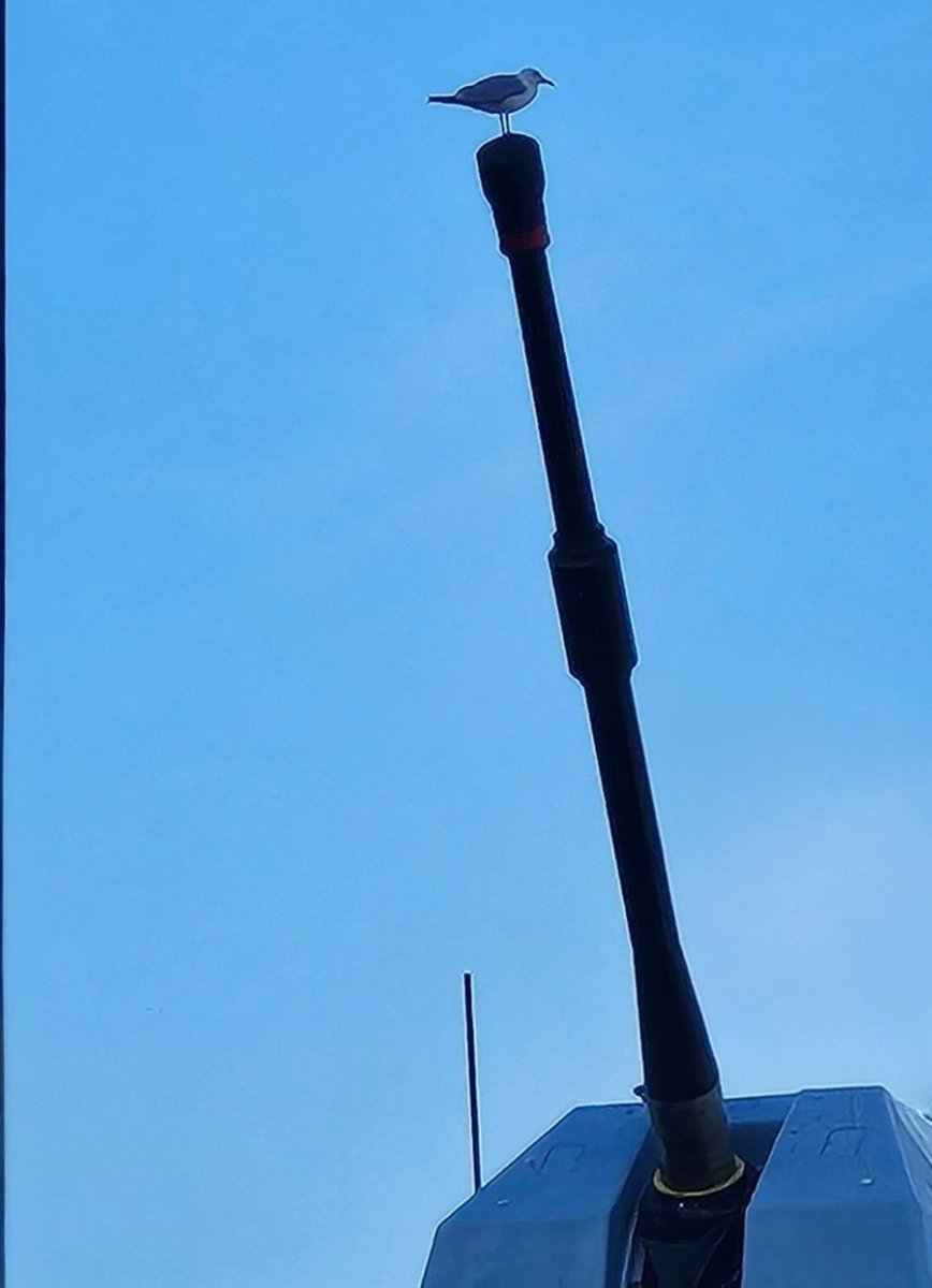 HMS SUTHERLAND tweet media