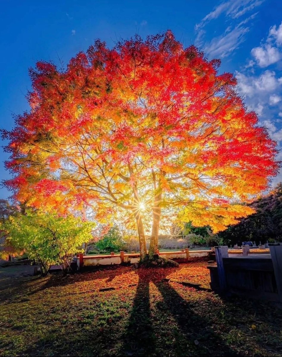 There is a crack in everything, that's how the light gets in.

Leonard Cohen
