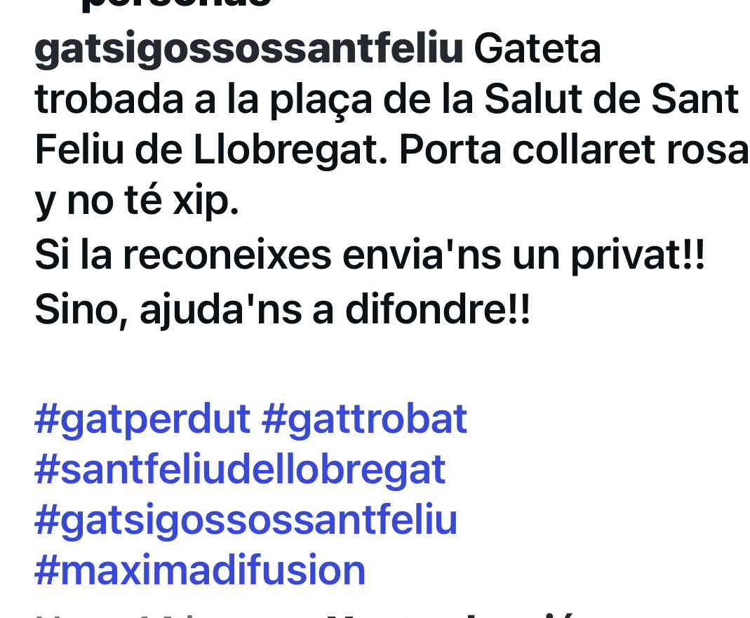 👉Copio
🆘Gateta trobada a #SantFeliudelLlobregat-Barcelona🆘

⚠️Porta collaret Rosa
⚠️❌No te Xip
🟢Màxima Difusió🟢

#FemXarxa
#XarxaAnimalsPerdutsCatalunya
#GatsiGossosTrobats
#AjuntamentSantFeliu
#ProgatValles
#ProgatSabadell