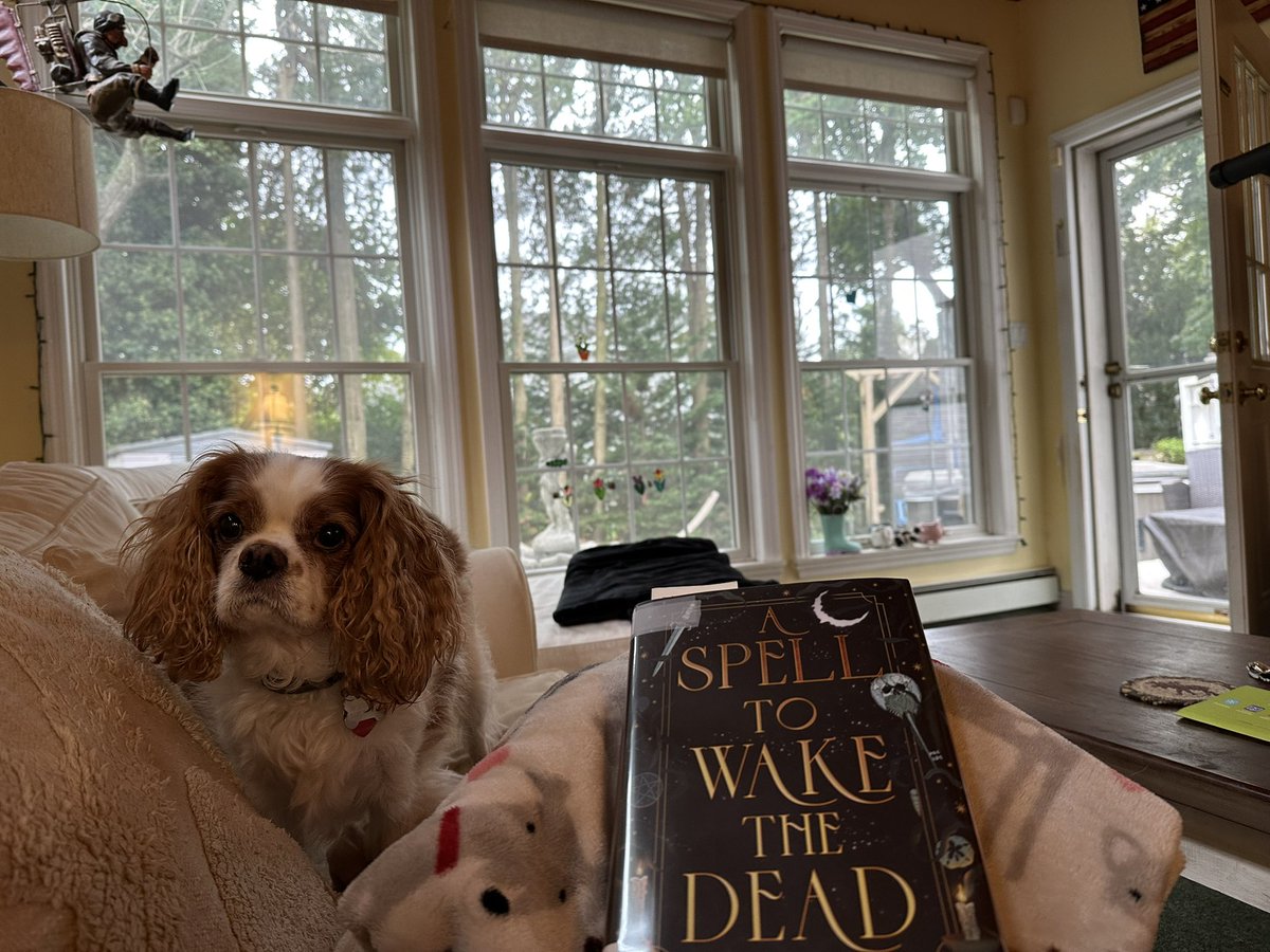Settling in while the Nor’Easter rolls in. 

<a href="/NicLesperance/">Nicole Lesperance</a>
