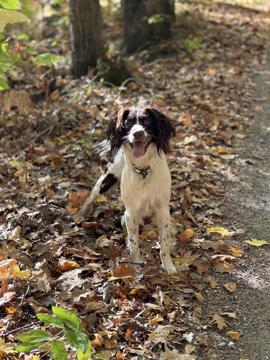 Bill Cole tweet media