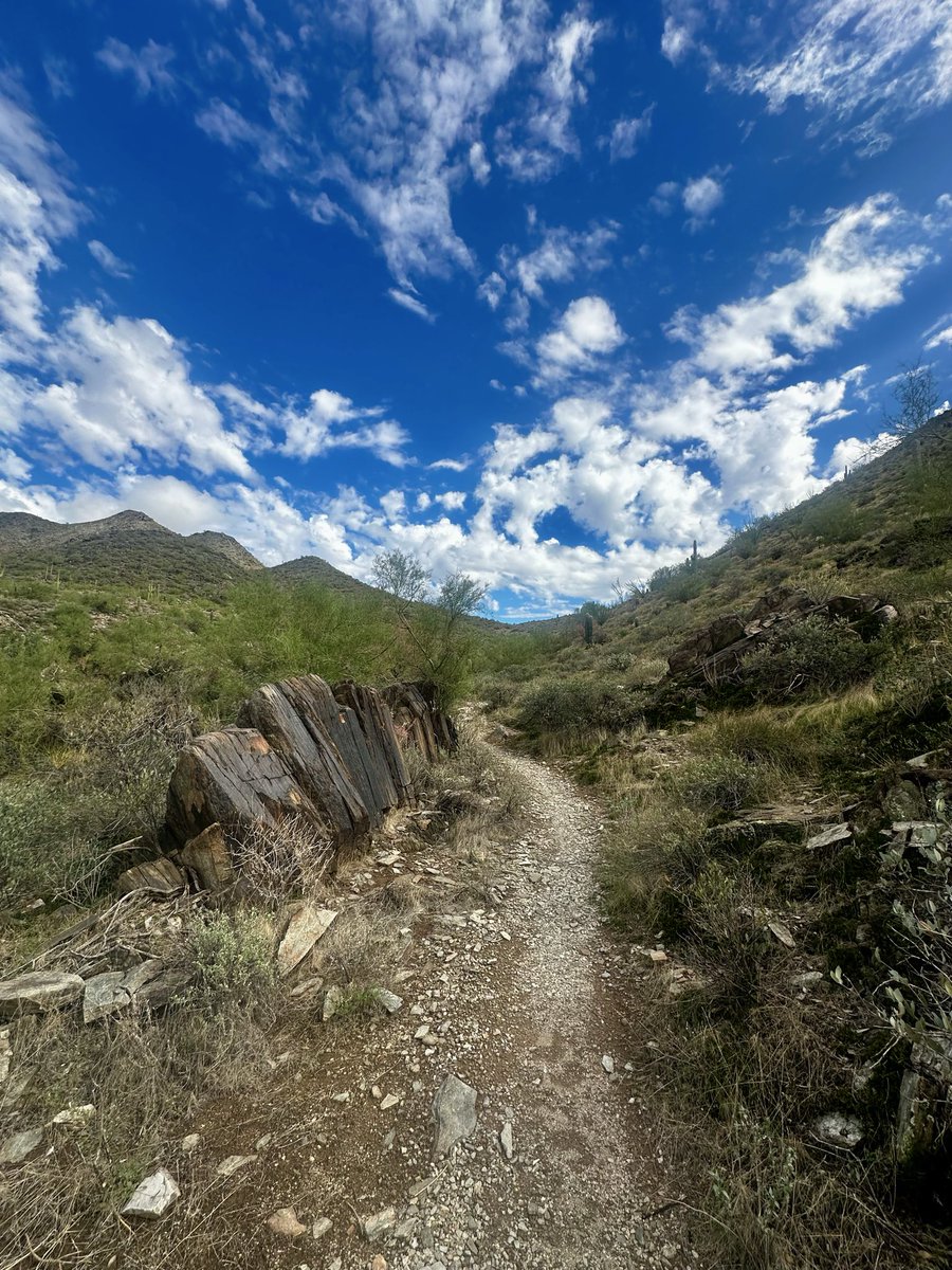 Bob Griffin tweet media