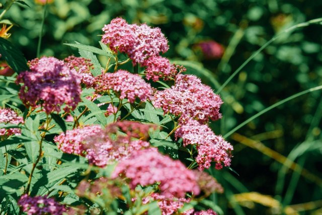 39700フォロワー様再達成しました︎︎💡七回目

いつもありがとうです(о´∀`о)

私は野球などのsports全般、AIイラスト、懸賞も好きなので、このジャンルに興味がある方と、繋がれたら嬉しく思います😊

#憩いの泉 
#三連休はフォロワーさんが増えるらしい