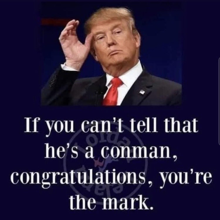 VaderJaxx's tweet image. Maga meathead does not understand what an undercover agent is. Trump loves the poorly educated, because they are so easily manipulated.