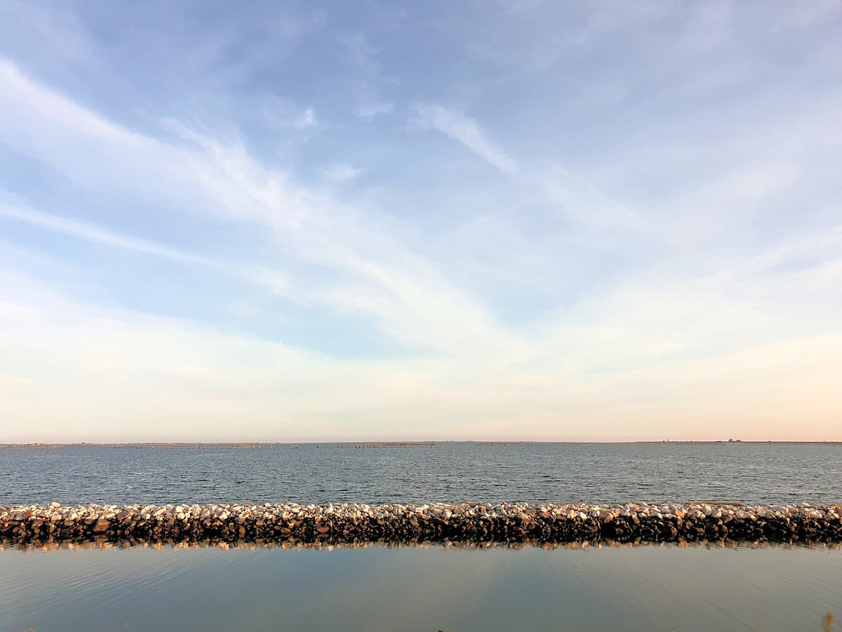 step2018step2's tweet image. La terra non è piatta .

Stepart.it