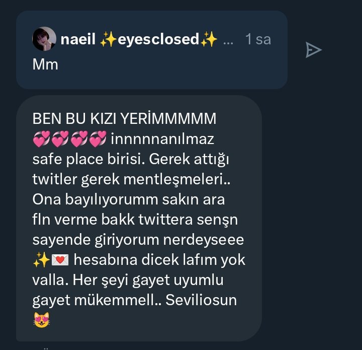Tweet media one