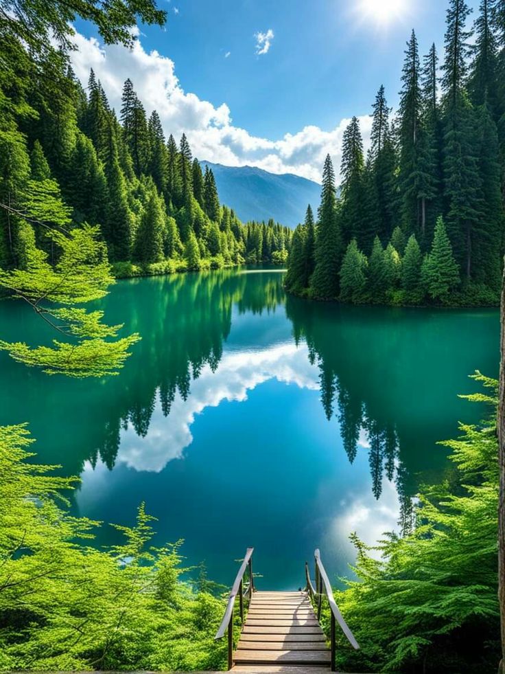 Amazing views 😍 (@naturaleye78321) on Twitter photo 