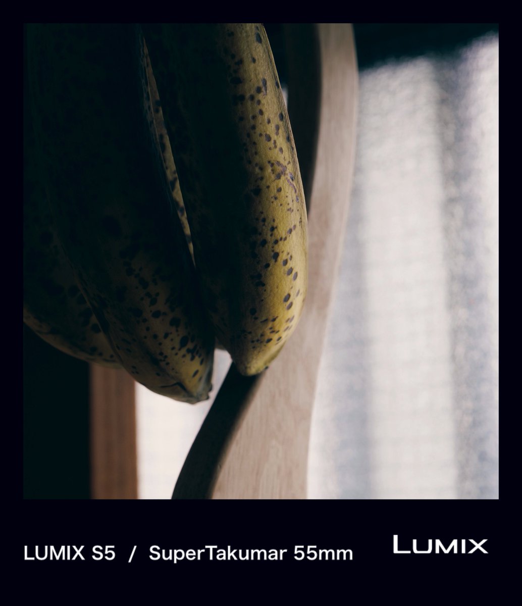 カメラ活動1028日目

結局バナナって最高に美味いんですよね。

LUMIX S5
SuperTakumar 55mm