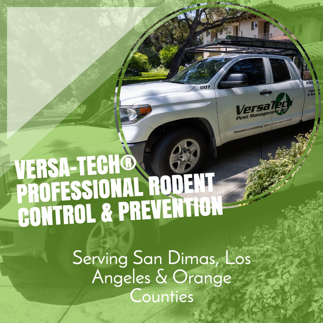 VersaTechPM's tweet image. Are you looking for the very best, most trusted San Dimas or LA County #rodentcontrol companies near you for rats or mice? The highly-skilled #rat & #miceexterminators at Versa-Tech® are here for you with top rated rodent control & prevention you can count on. Free inspections.