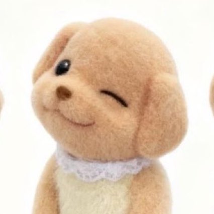 wenofied's tweet image. (ಠ‿&amp;lt;)