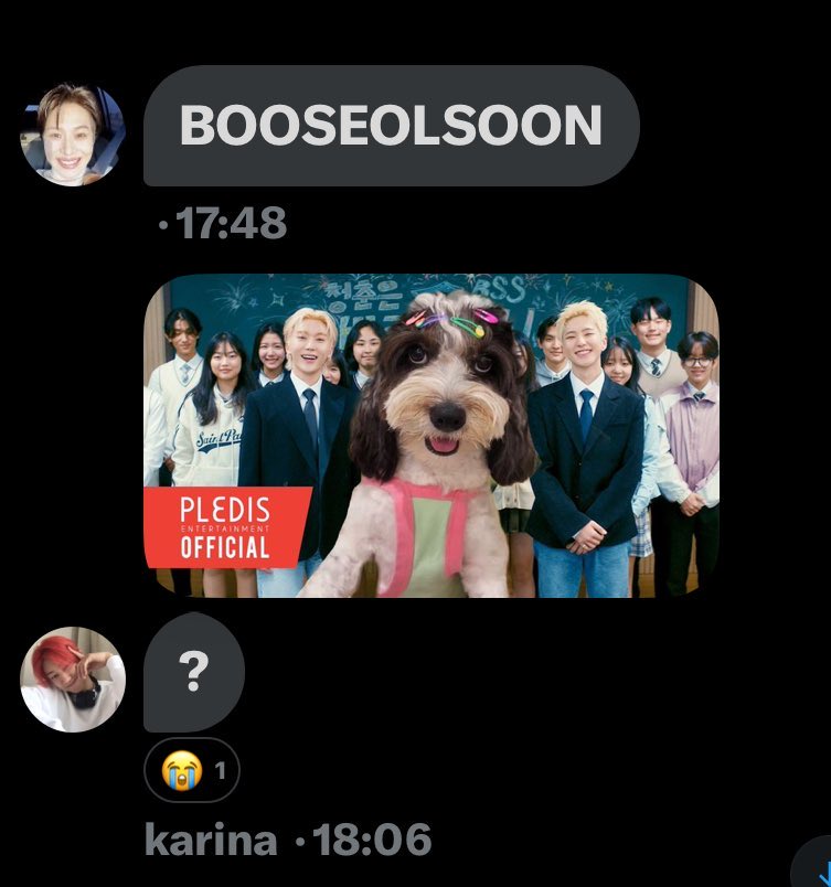boohaology's tweet photo. in caratland you can’t be silly or they’ll jinjja kill you https://t.co/6xf6akVUVr