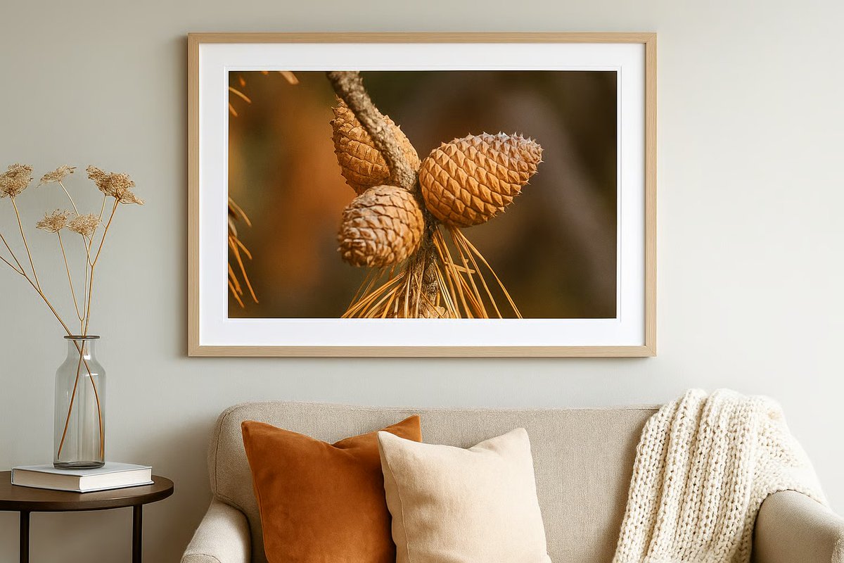 NateHartPrints's tweet image. 🌲 “Nature’s Texture” captures the calm beauty of pinecones resting on a branch—perfect for rustic homes, cabins, and nature lovers. 🍂

📥 Download: printsbynatehart.com/b/ygGZt

#PrintsByNateHart #NaturePhotography #RusticDecor #CabinStyle #WoodlandArt