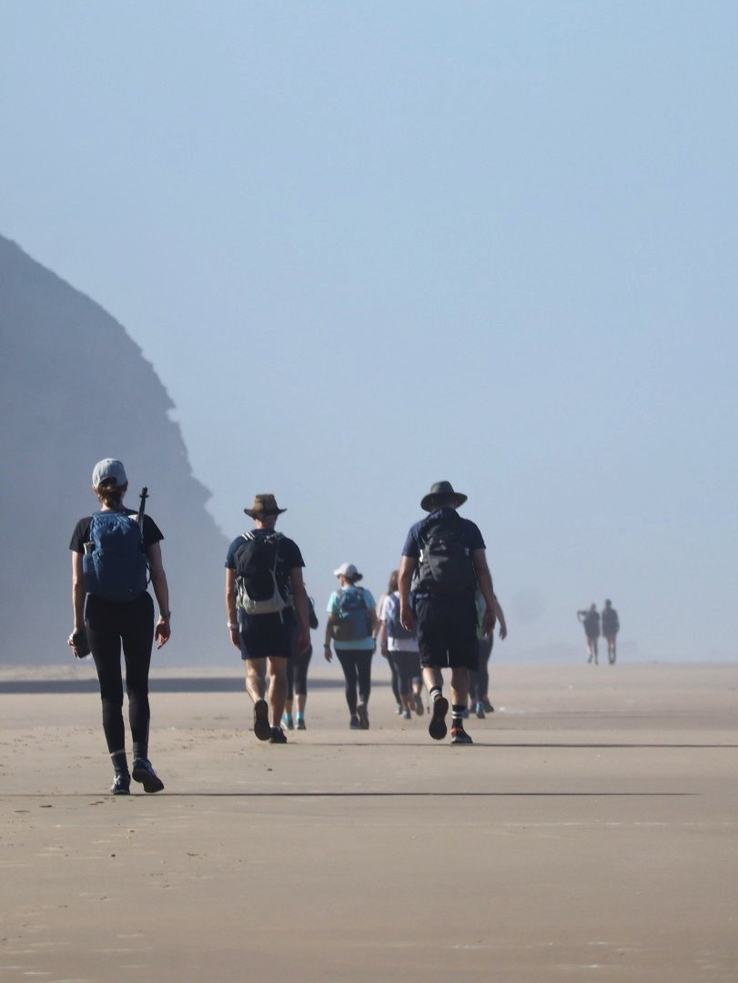 Garden Route Trail tweet media