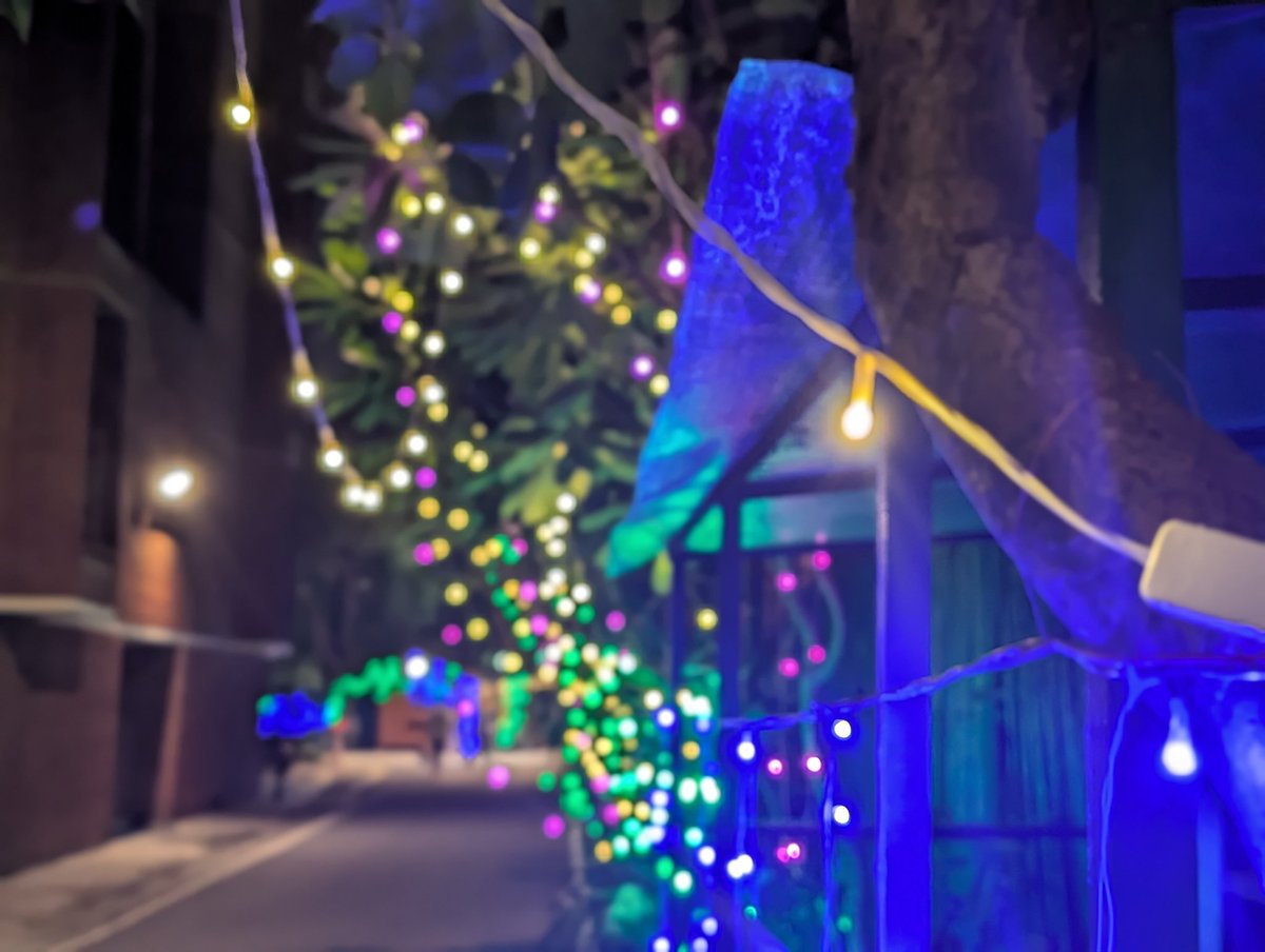 NimishAndAkriti's tweet image. Festive lights at night are a Godsend for those who love bokeh. 

Taken by a Pixel 9 Pro. 

#ShotOnPixel #Pixel9Pro @GooglePixel_US