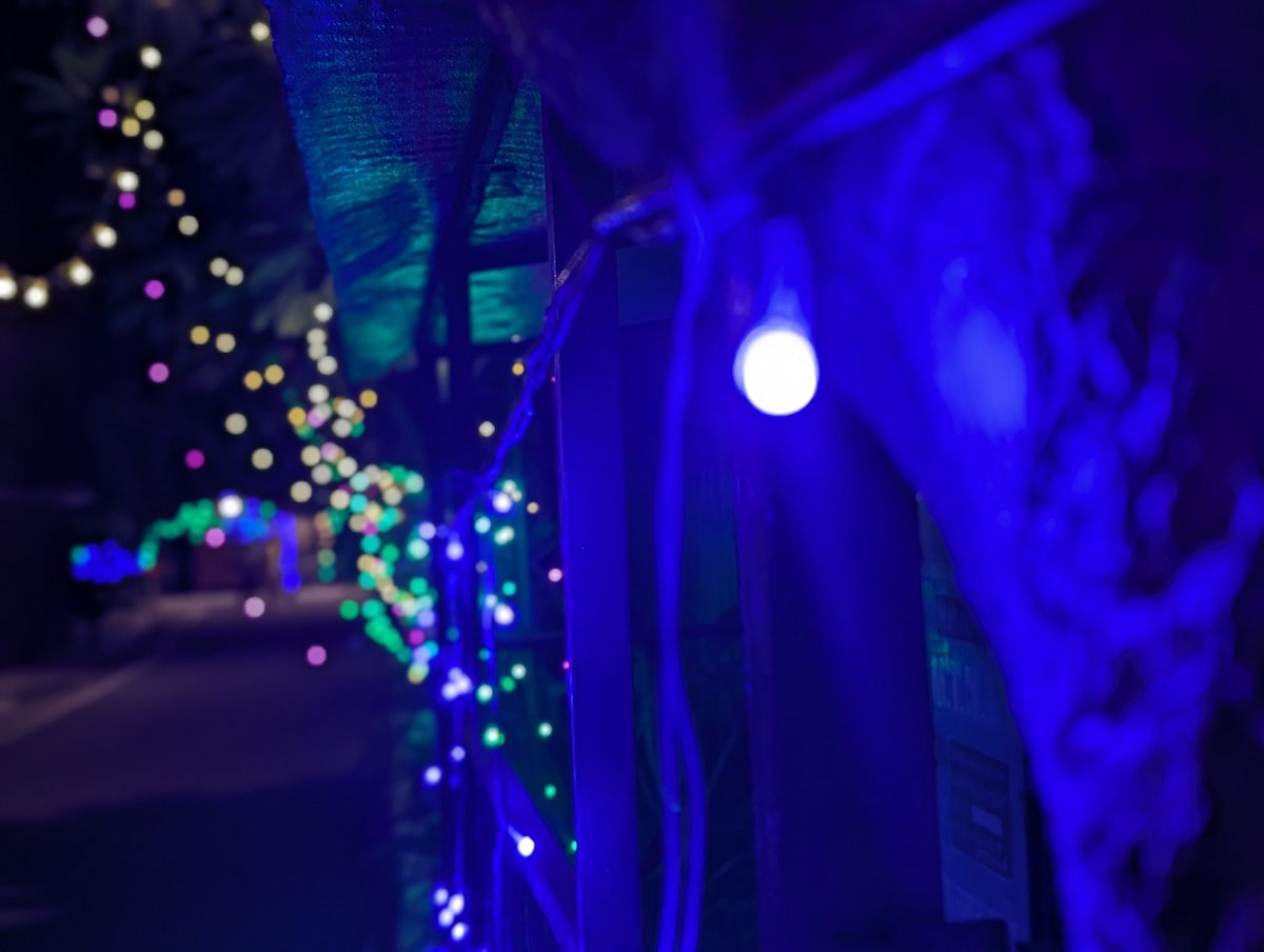 NimishAndAkriti's tweet image. Festive lights at night are a Godsend for those who love bokeh. 

Taken by a Pixel 9 Pro. 

#ShotOnPixel #Pixel9Pro @GooglePixel_US