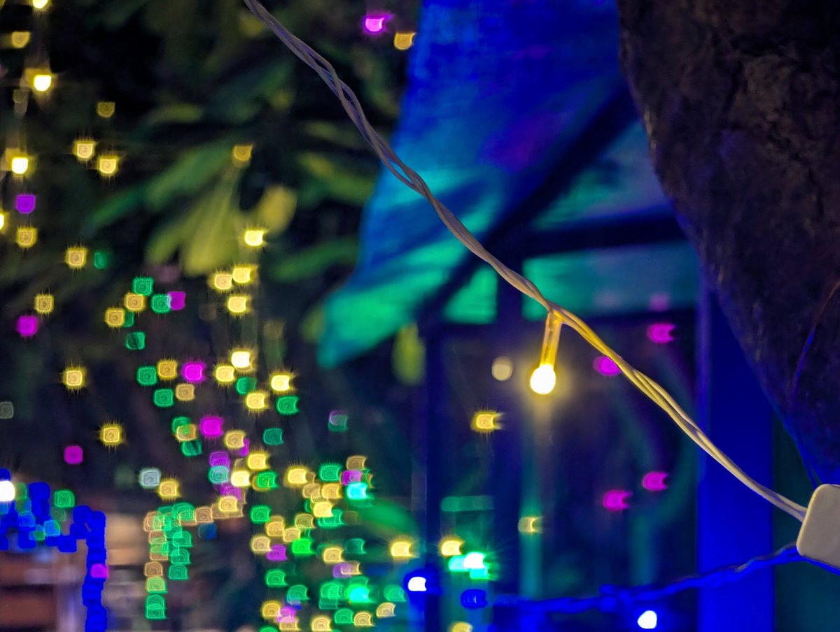 NimishAndAkriti's tweet image. Festive lights at night are a Godsend for those who love bokeh. 

Taken by a Pixel 9 Pro. 

#ShotOnPixel #Pixel9Pro @GooglePixel_US