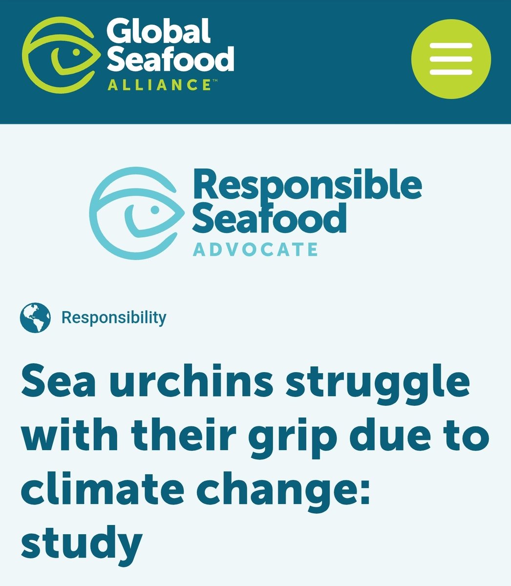 DawnTJ90's tweet image. 📢 Climate Scientists Say.... 

💥Climate Change - Slippery Sea Urchins

🌊 Urchins Losing Their Grip On Coral Reefs

😳