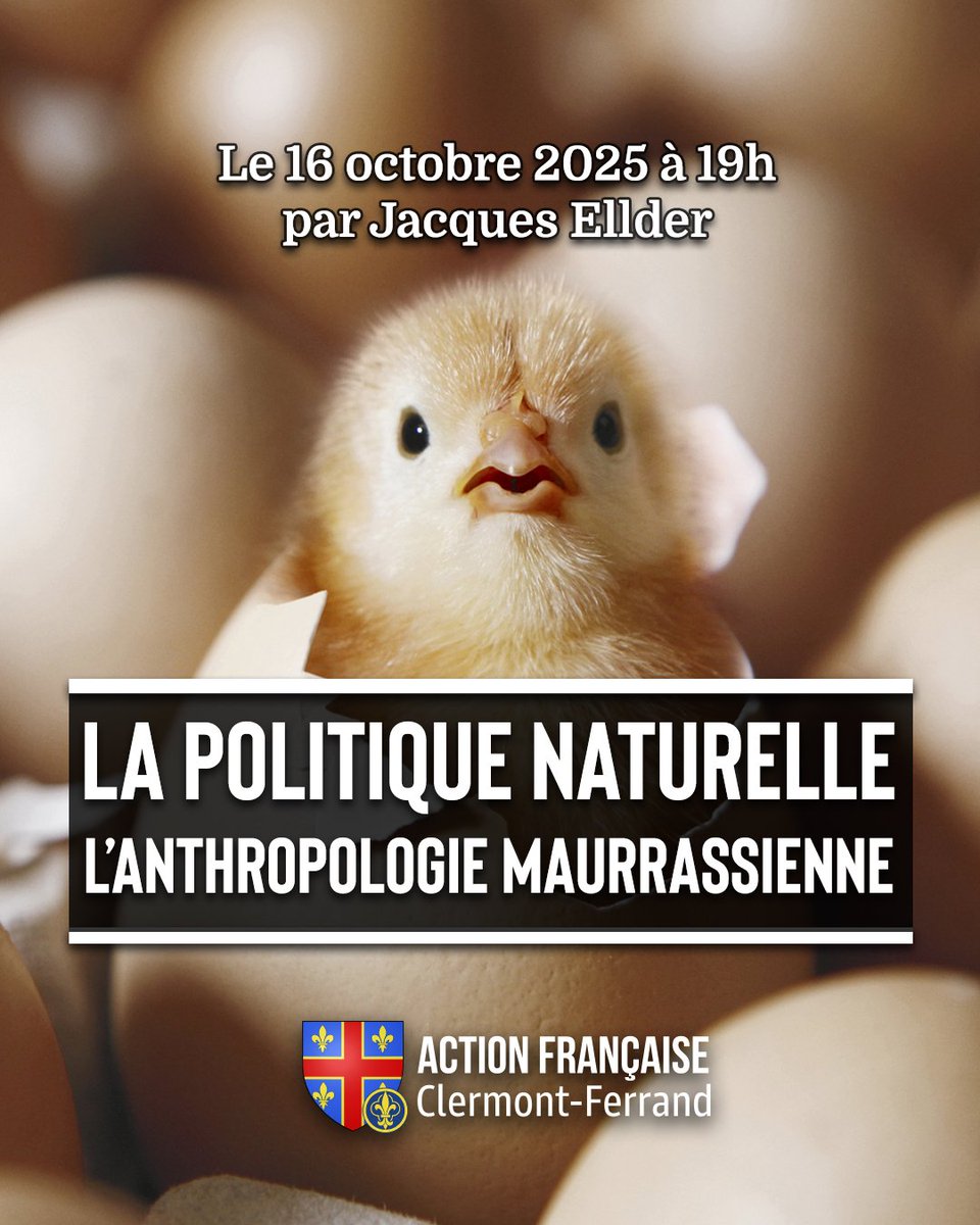 🔴 CONFÉRENCE 🔴 

🗣 Ce jeudi, un de nos militants, dans les pas de Charles Maurras, nous expliquera ce que les poussins ont à apprendre aux royalistes ! 

↪️ Nous vous attendons nombreux ! Inscriptions en MP

#actionfrancaise #royalisme #clermont