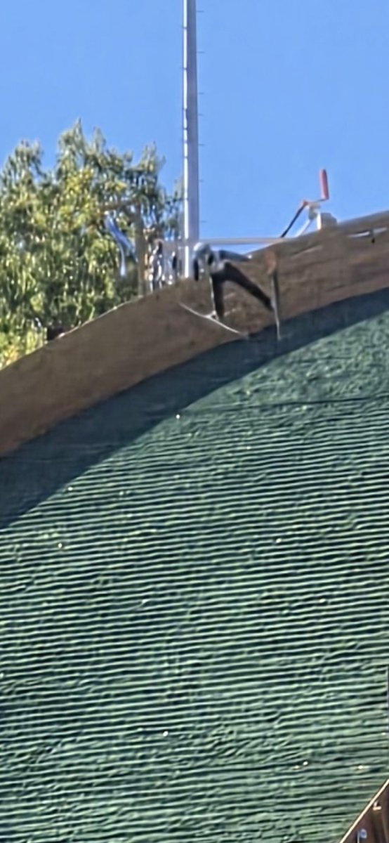 Jonathan Feigen tweet media