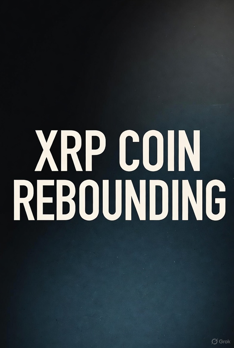 PaulMcC72005921's tweet image. #XRP #XRPHolders #XRPCommunity
