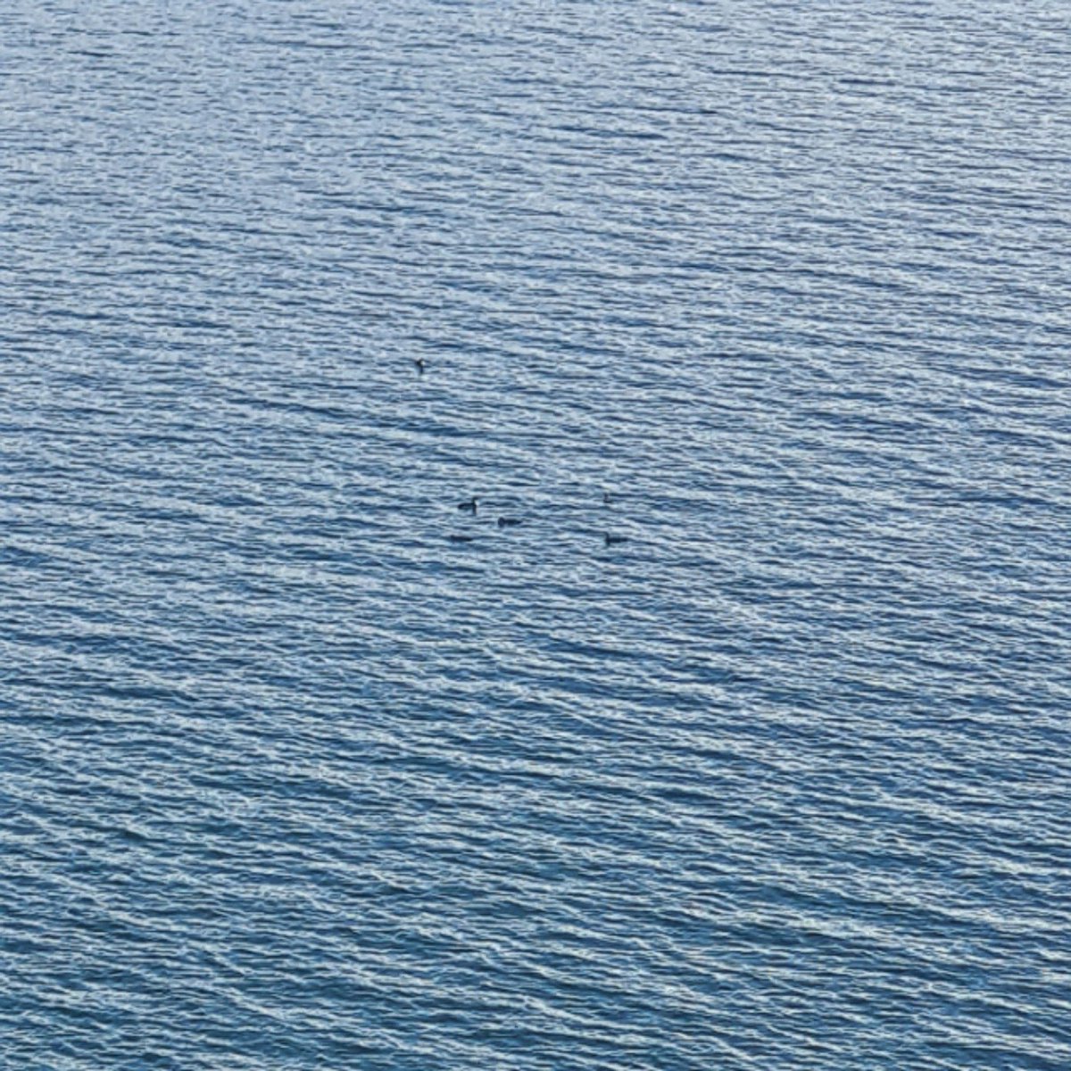 Nigel Hester tweet media