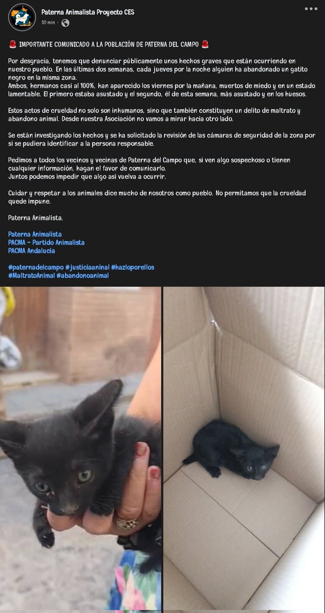 ¡COMUNICADO IMPORTANTE!

Vamos a darle difusión a este caso por favor. Millones de gracias de antemano.

<a href="/PartidoPACMA/">PACMA</a>
<a href="/Pateranimalista/">Paterna Animalista</a>
#PaternadelCampo #Huelva
#JusticiaAnimal
#NoAlMaltratoAnimal
#NoAlAbandonoAnimal