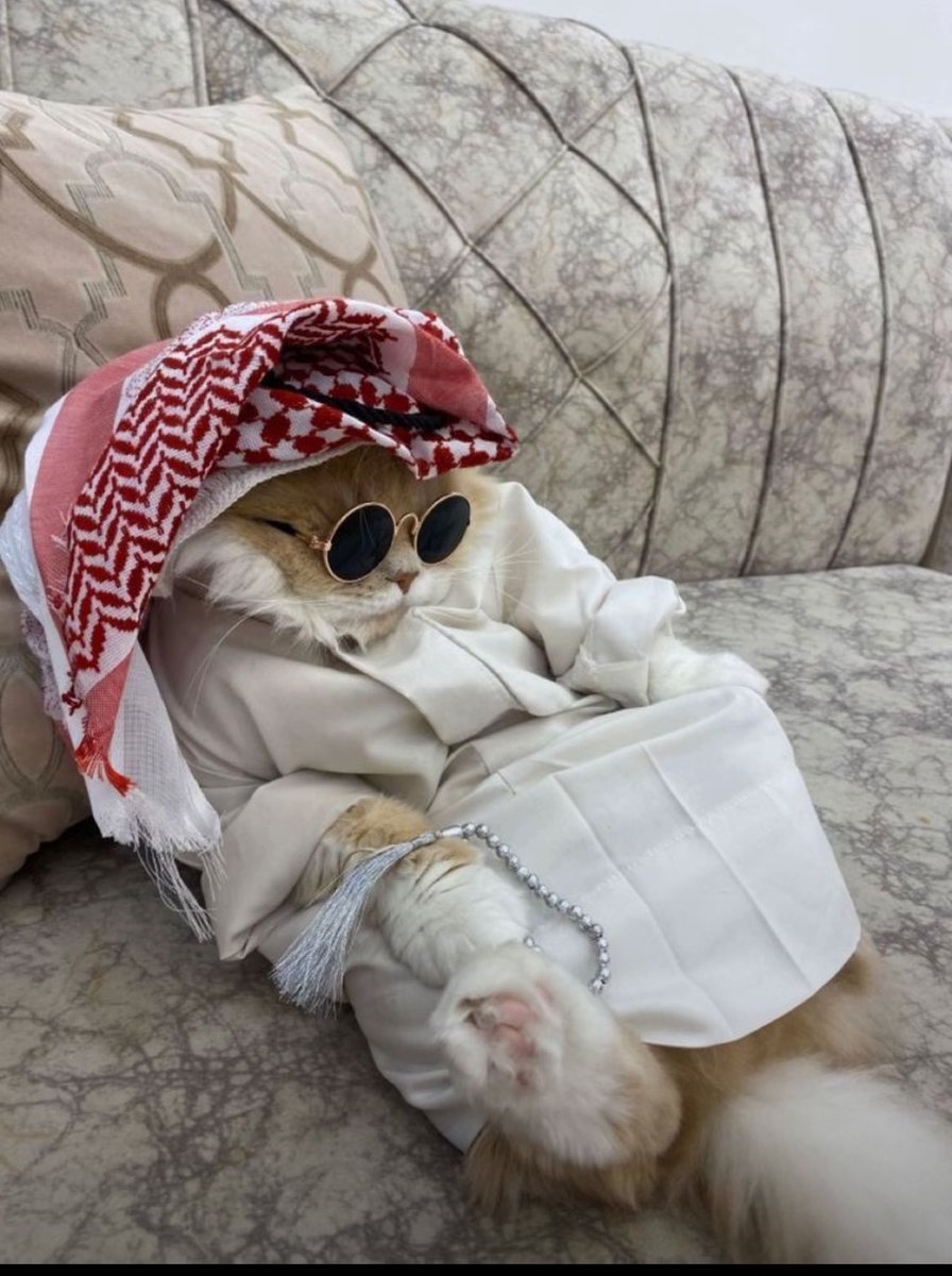 الحب ليس من هواياتي
لكن عندما اشوف الزين
اروح فيها🤪🤣🏃🏃