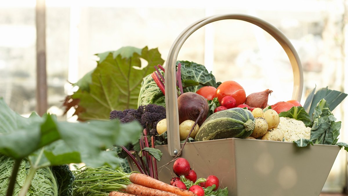 Sides are ready, cranberries are sweet… but which veggie makes the feast complete? 

Make the call and you could cozy up with an autumn prize pack: bit.ly/4o7u5MD #PowerSmart